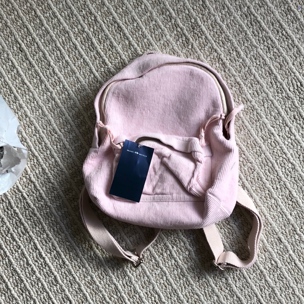 Brandy Melville Pink Mini Backpack